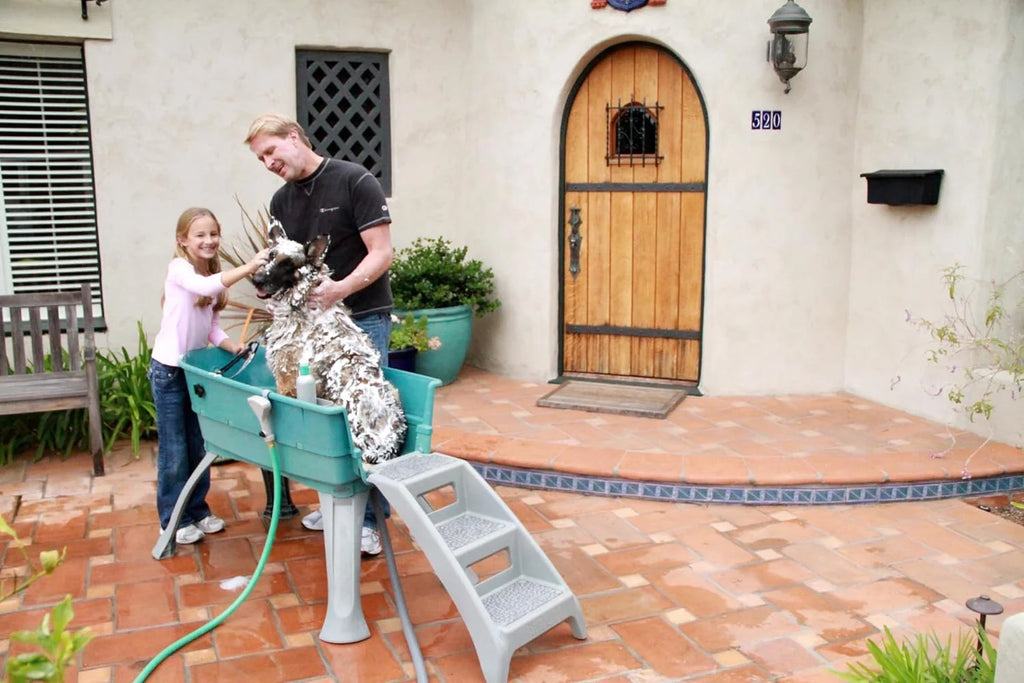 Elevated Pet Bathing Large Teal Steps Combo