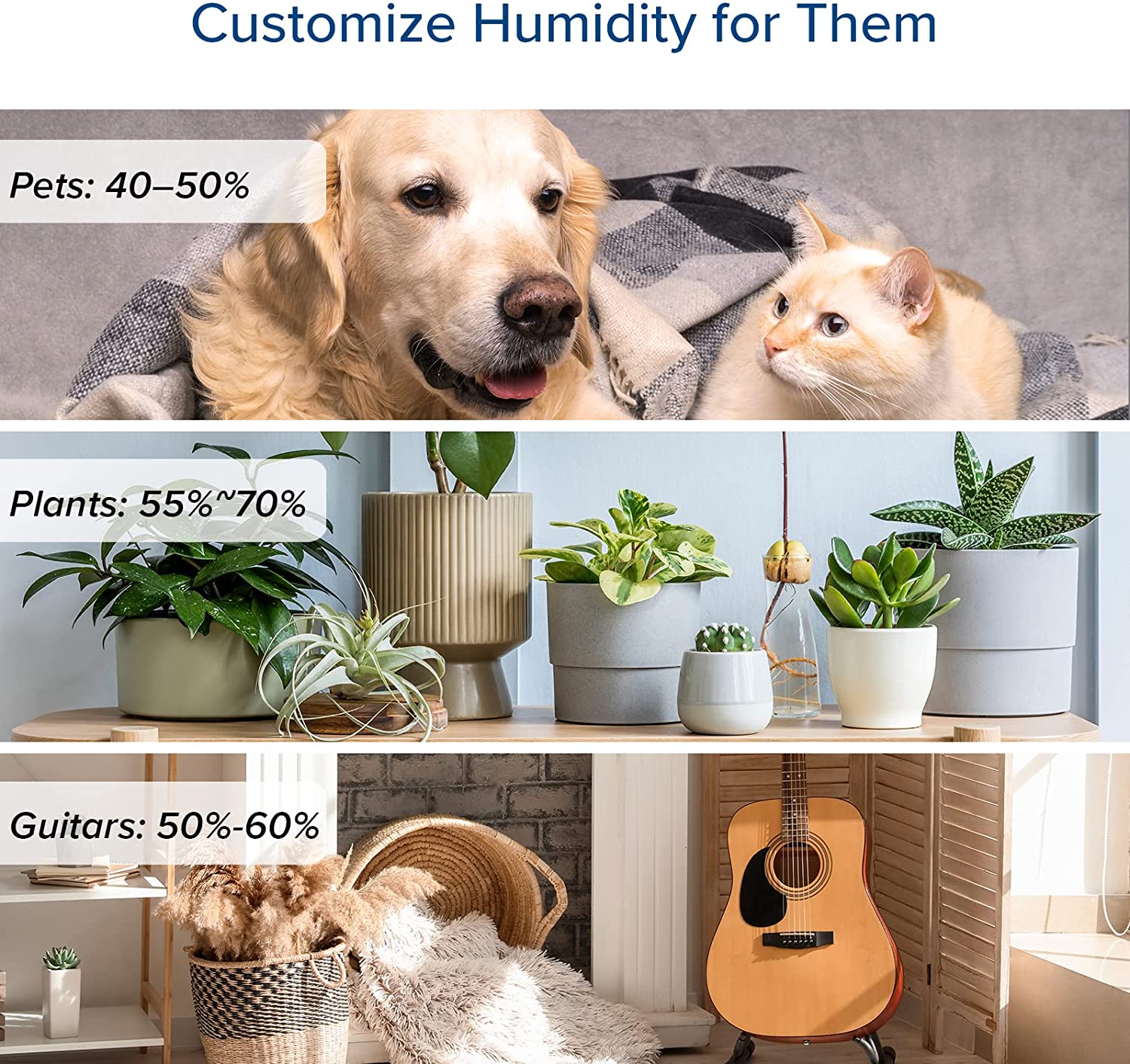 Humidifiers for Bedroom Large Room 6L Warm and Cool Mist for Families Plants with Built-in Humidity Sensor