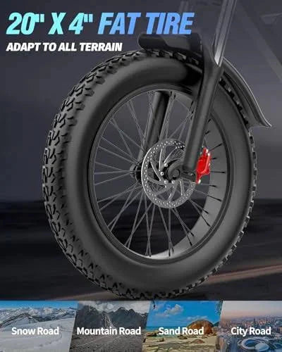 Dual Motor Electric Bike Q20PRO 2000W 52V 40Ah