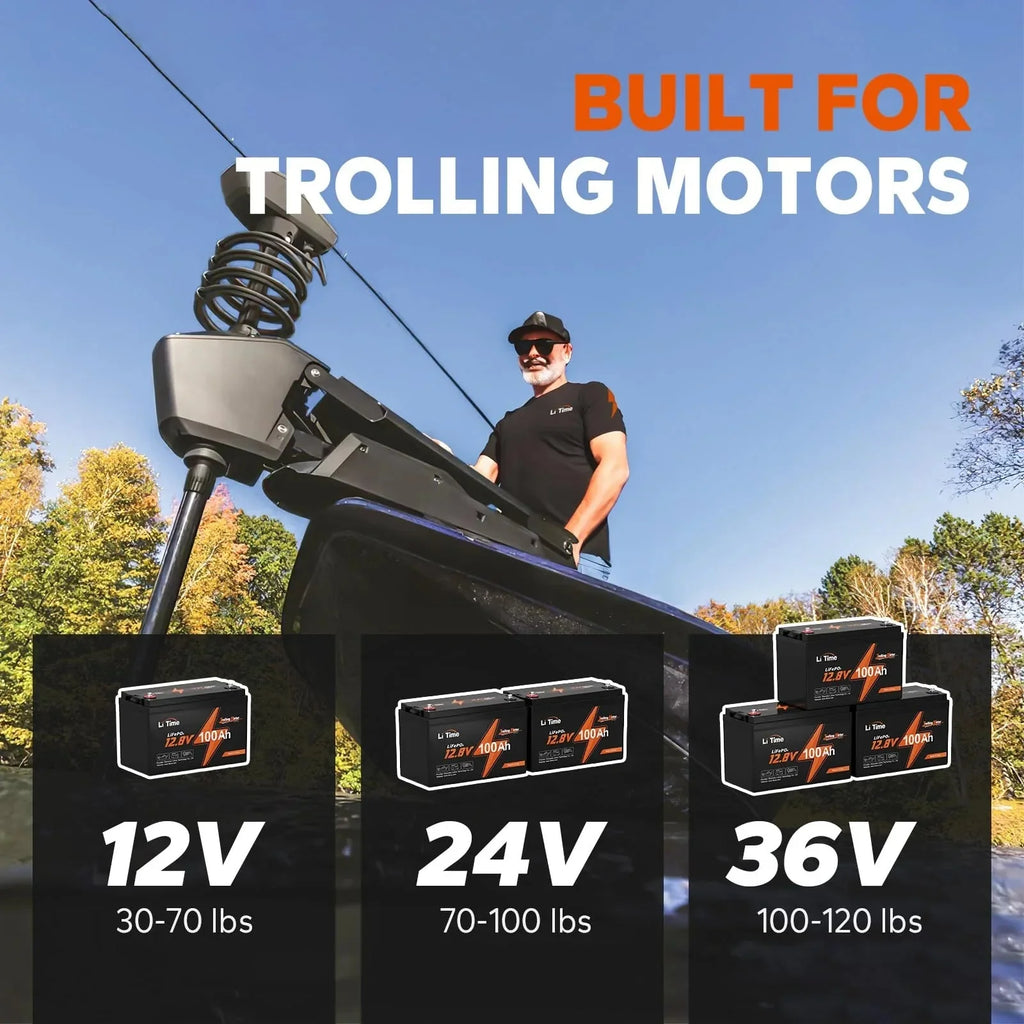 LiTime 12V 100Ah TM LiFePO4 Lithium Battery